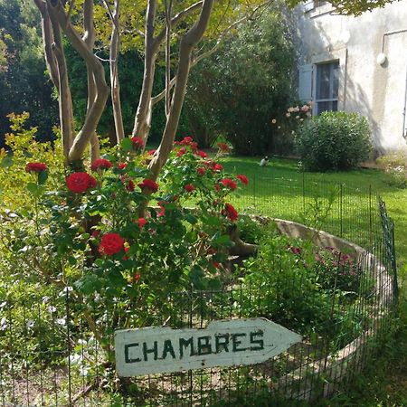 Le Mas D'Icard Saintes-Maries-de-la-Mer Luaran gambar