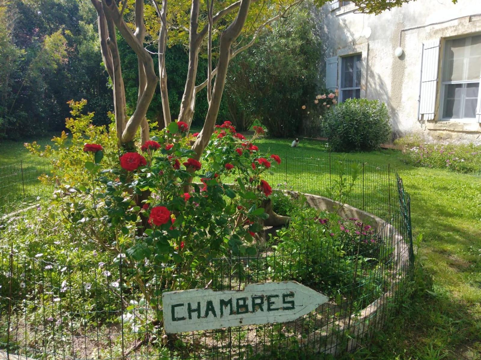 Le Mas D'Icard Saintes-Maries-de-la-Mer Luaran gambar
